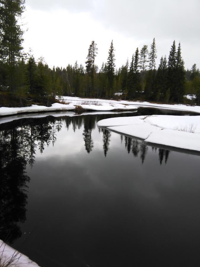 Gafsele Lappland Hostel Vaster Gafsele Bagian luar foto